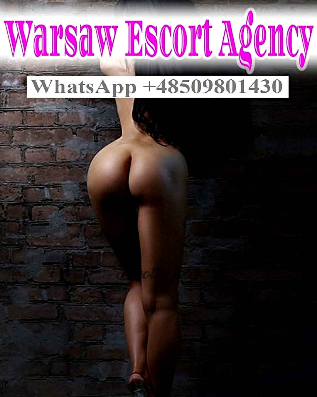 Olga Escort Warsaw - Image 3