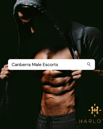 Male Escorts Canberra Canberra, Australia female escort photo 1